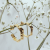 BA4F295F-586D-4BA9-AEBD-65CC16FC3305.png